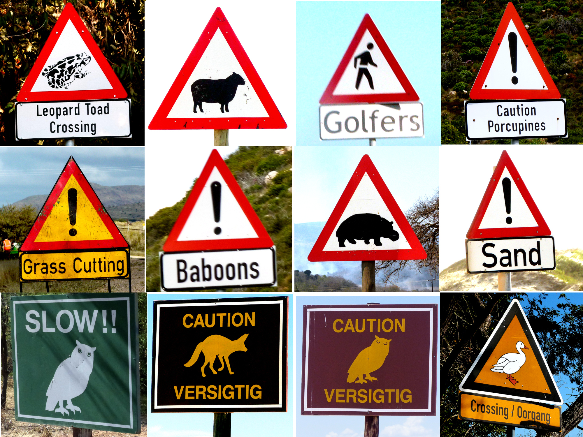 signs.jpg