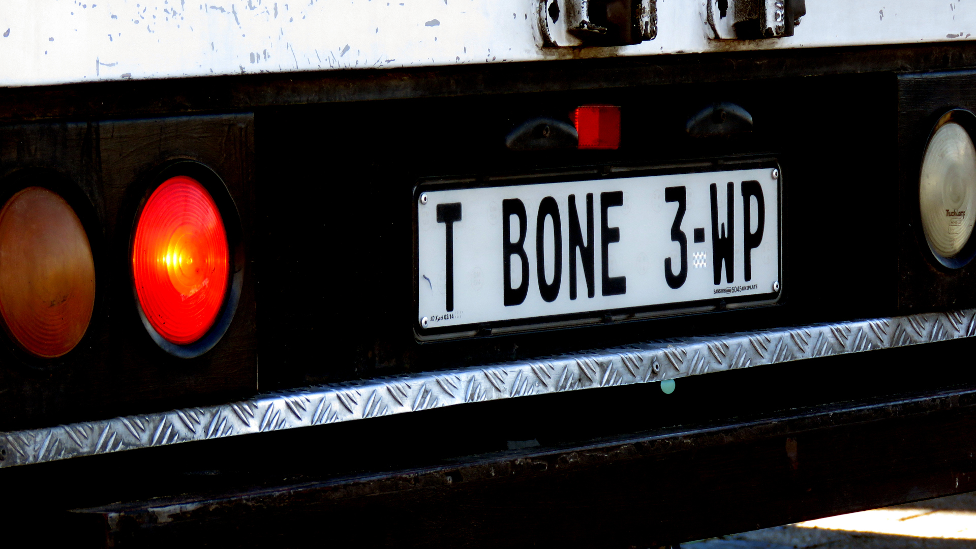 T-Bone.JPG